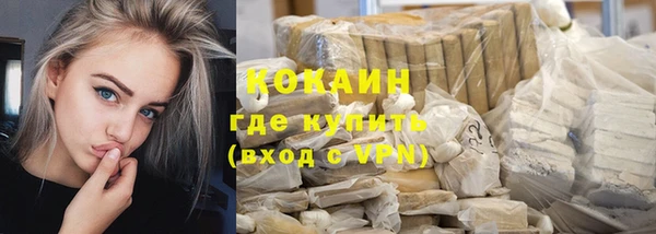 шишки Володарск