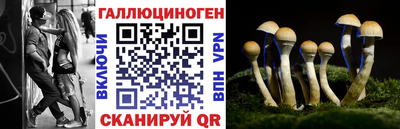 Галлюциногенные грибы Cubensis  Истра 